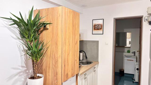 Apartament Boho Stare Miasto Нови Сонч Екстериор снимка
